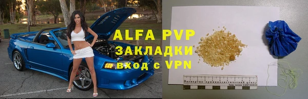 дживик Бородино