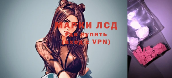 прущие грибы Володарск