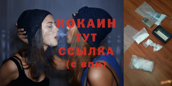 дживик Бородино