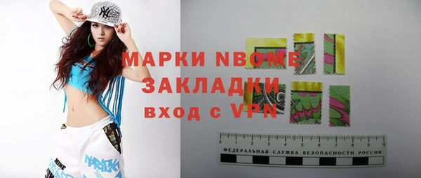 дживик Бородино