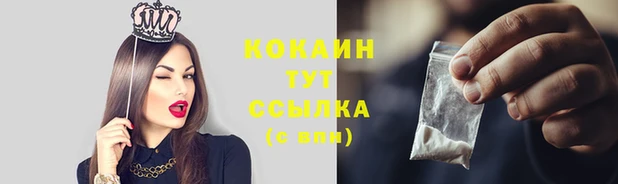 ПСИЛОЦИБИНОВЫЕ ГРИБЫ Бронницы