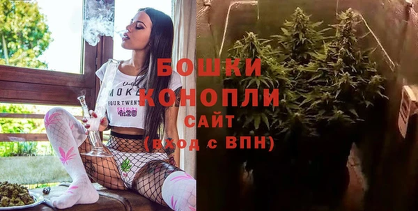 ПСИЛОЦИБИНОВЫЕ ГРИБЫ Бронницы