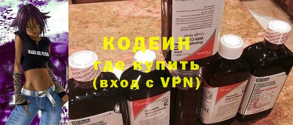 дживик Бородино