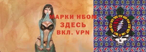 дживик Бородино