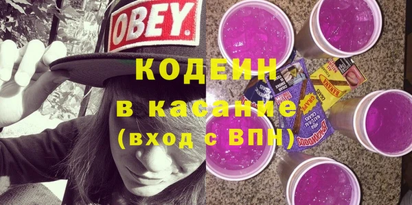 дживик Бородино