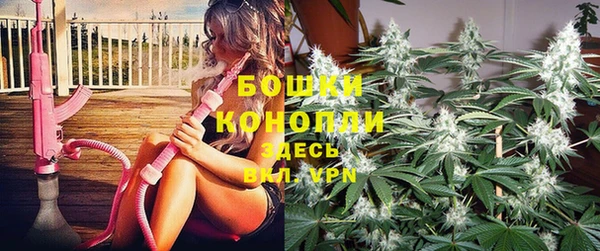 ПСИЛОЦИБИНОВЫЕ ГРИБЫ Бронницы
