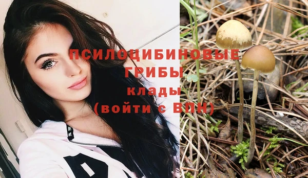 дурь Бугульма